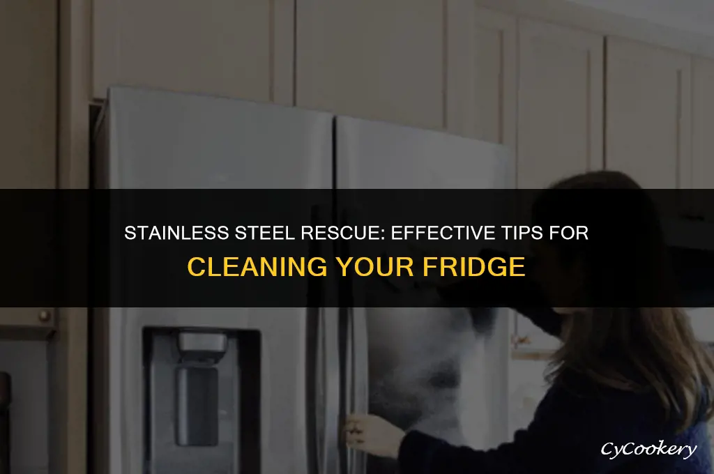 how to clean stains from stainless steel refrigerator