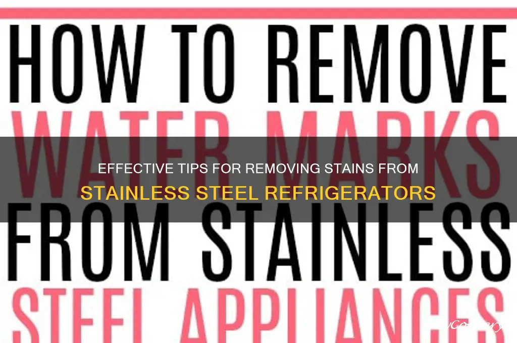 how to clean stains on stainless steel refrigerator