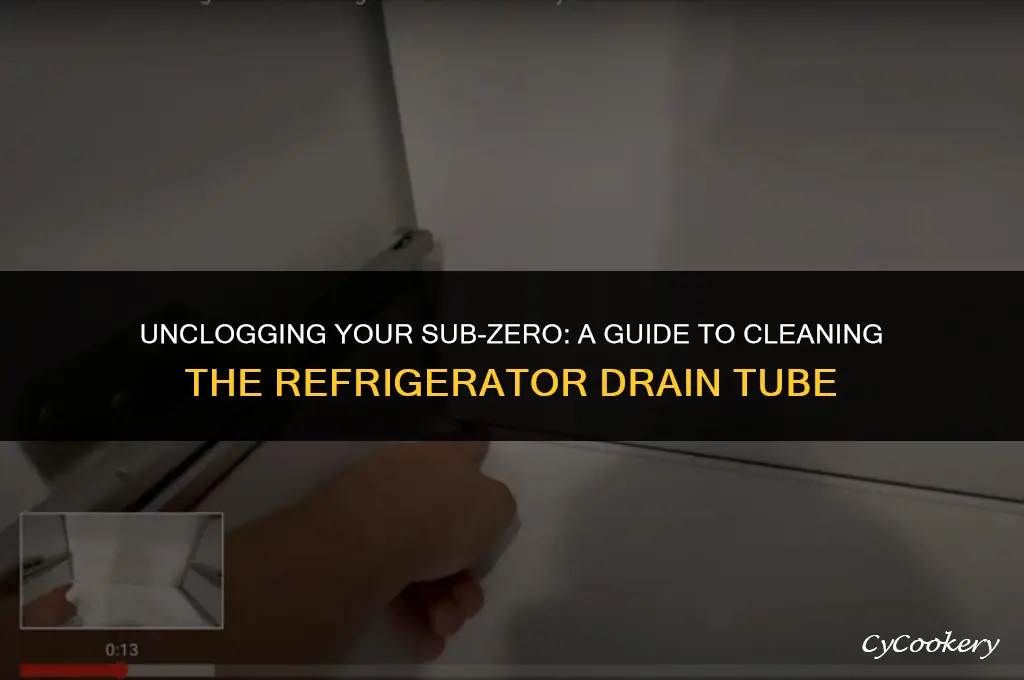how to clean sub zero refrigerator drain tube