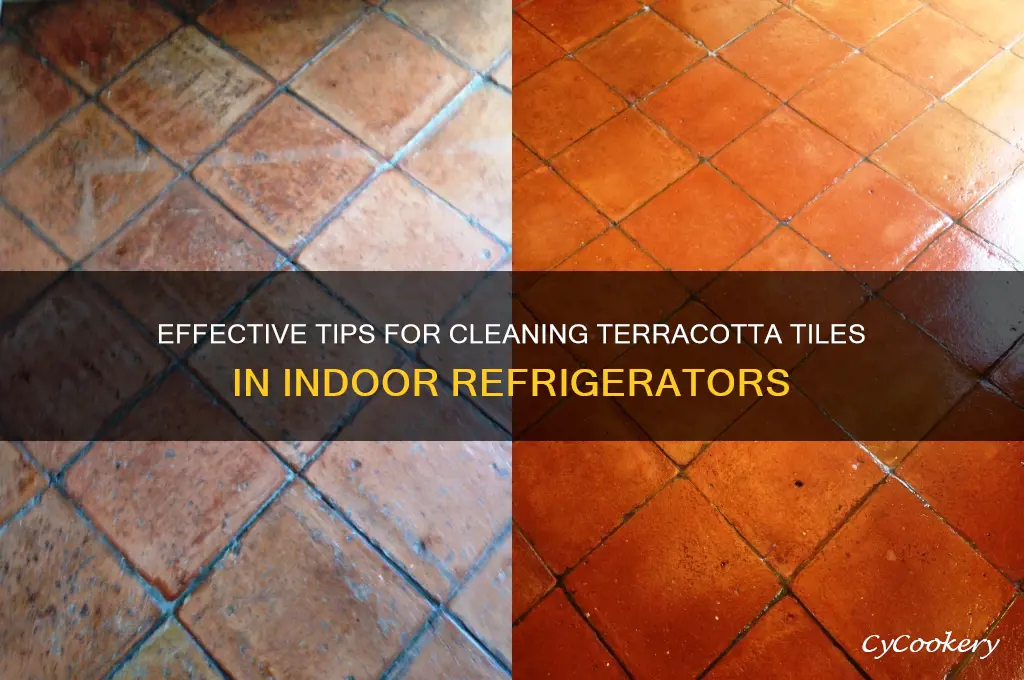 how to clean terracotta tiles indoor refrigerator
