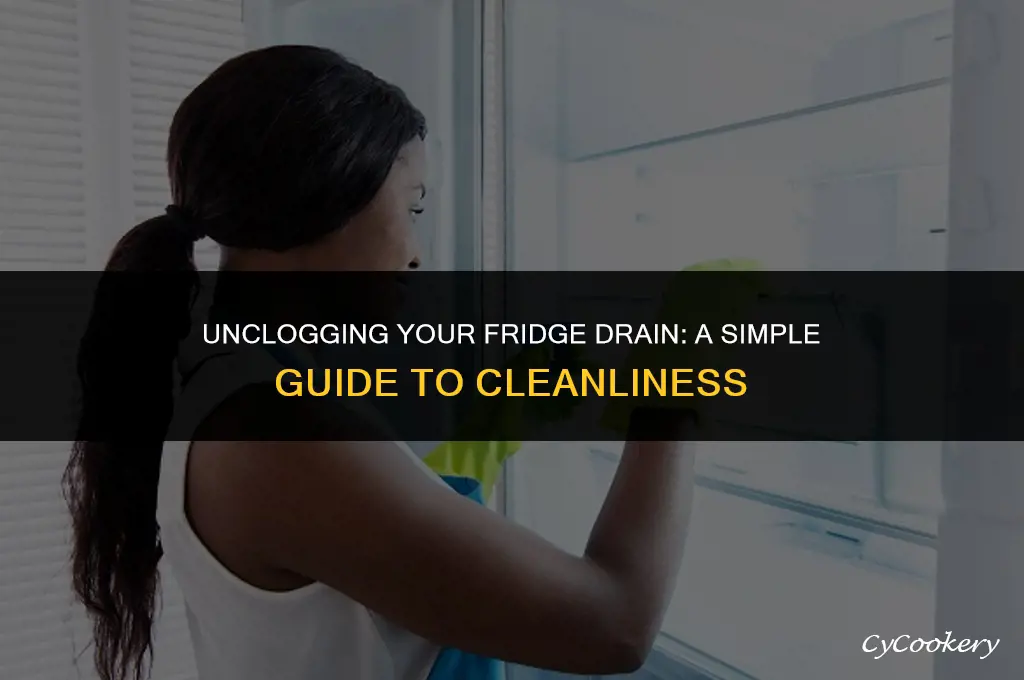 how to clean tge dreezer drain in my refrigerator