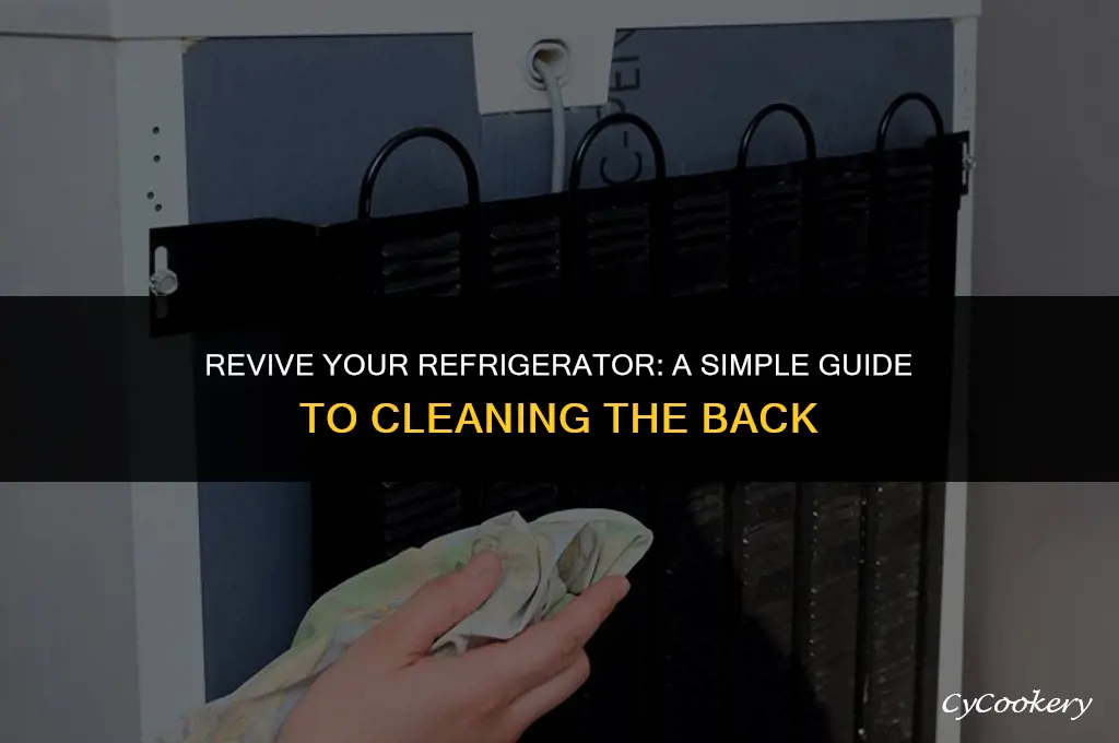 how to clean the back of the refrigerator
