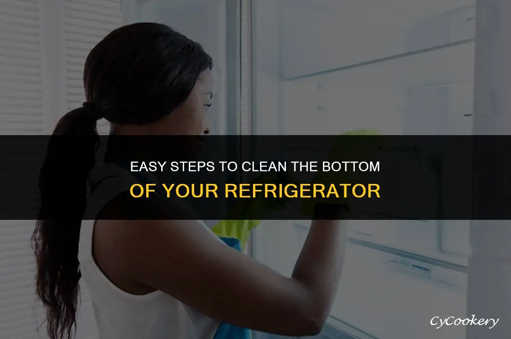 how to clean the bottom of a refrigerator