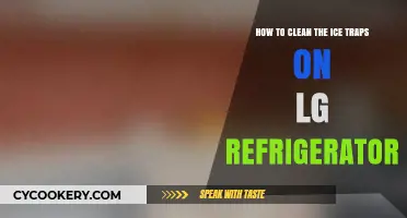 Easy Guide to Cleaning Ice Traps on LG Refrigerators