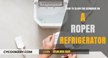 Easy Steps to Clean Your Roper Refrigerator's Icemaker