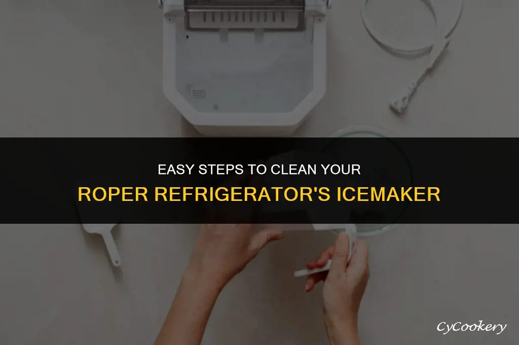 how to clean the icemaker on a roper refrigerator