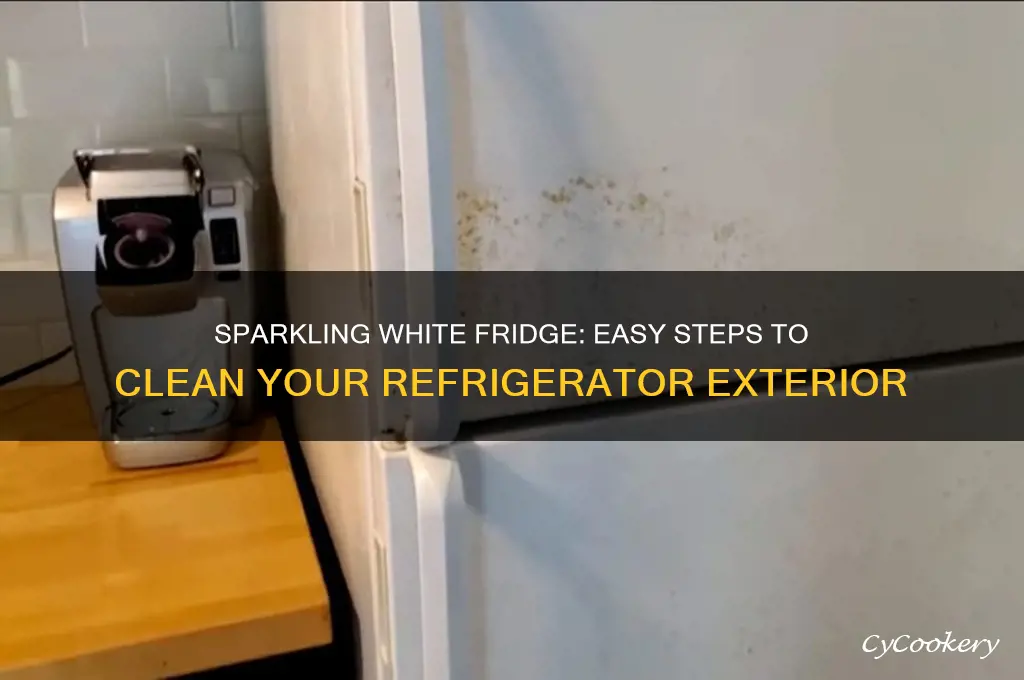 how to clean the outside of a white refrigerator