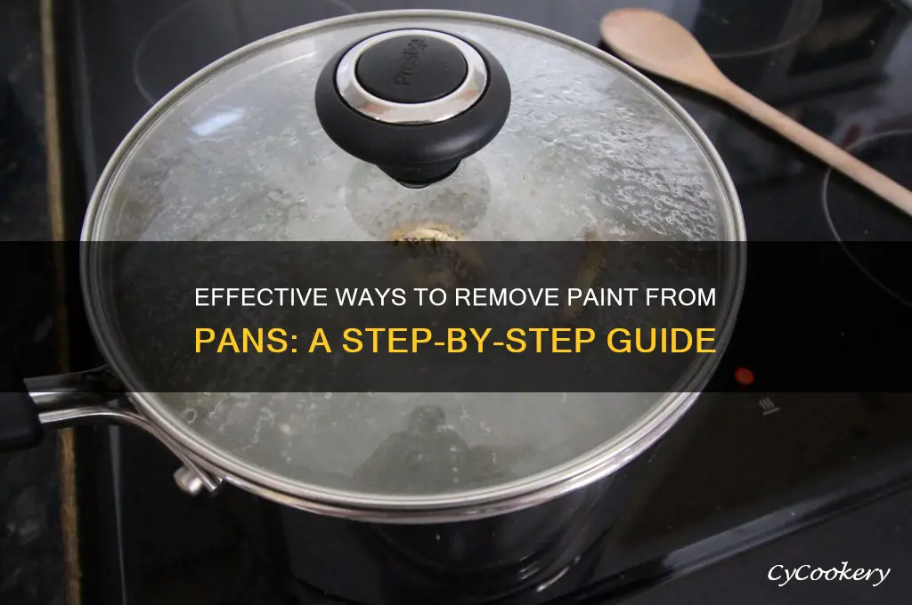 how to clean the paint from the pan used
