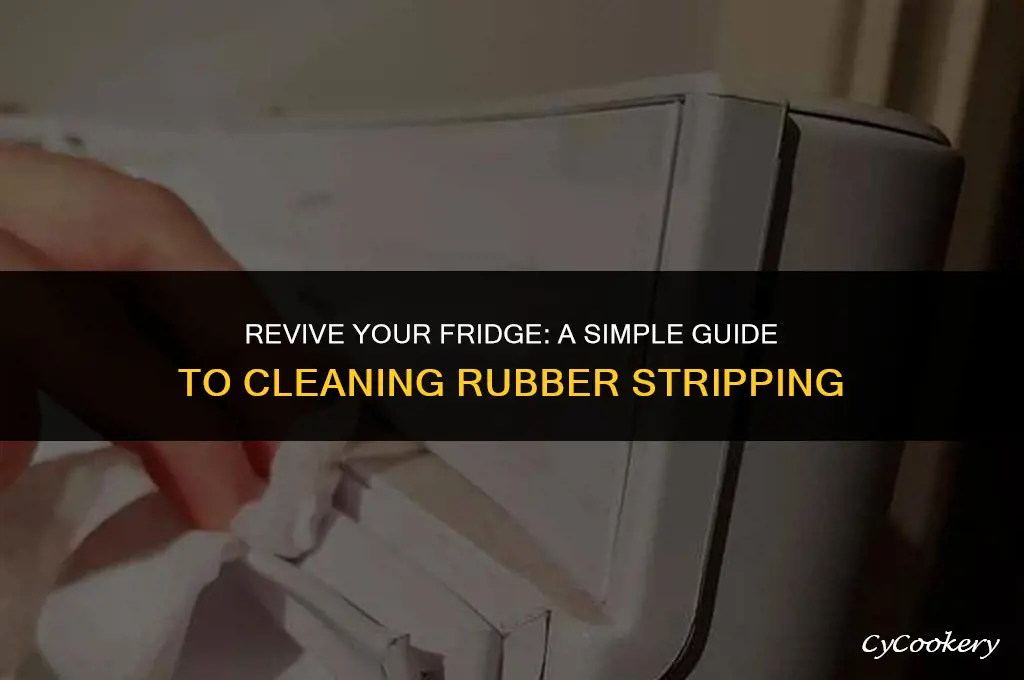 how to clean the rubber stripping on refrigerator doors