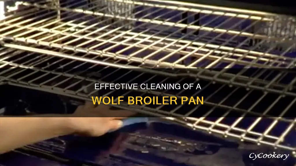 how to clean wolf broiler pan