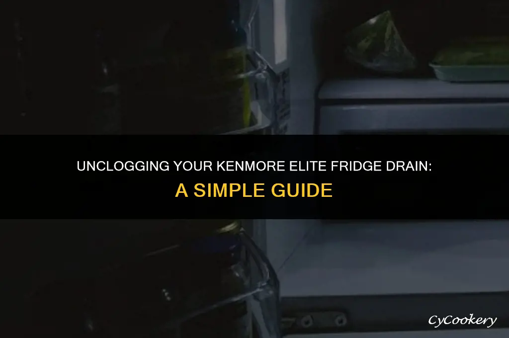 how to clear drain plug in kenmore elite refrigerator
