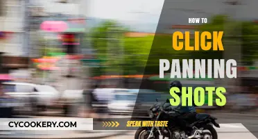 Mastering the Art of Panning Shots
