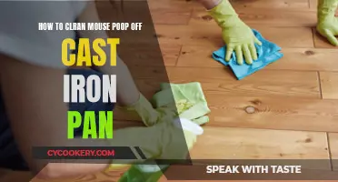 Cast Iron Cleanup: Removing Mouse Droppings from Your Pan