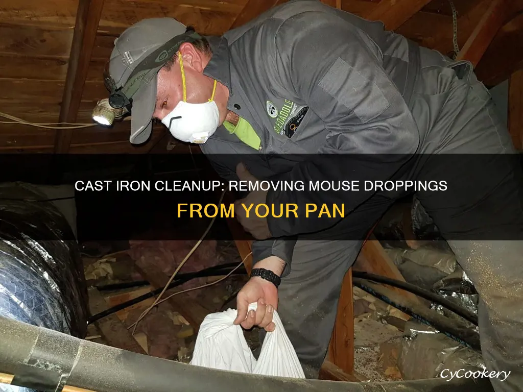 how to clran mouse poop off cast iron pan