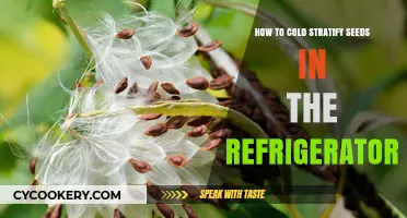 Chill Your Seeds: A Simple Guide to Cold Stratification