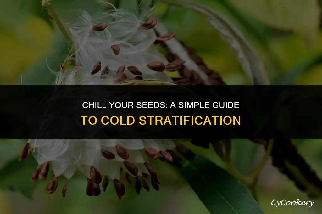 how to cold stratify seeds in the refrigerator