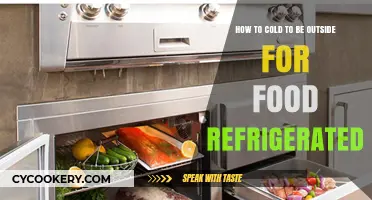 Chilling Facts: Understanding Safe Temps for Outdoor Food Refrigeration