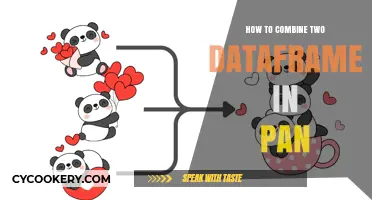 Merging Dataframes in Pan: A Comprehensive Guide
