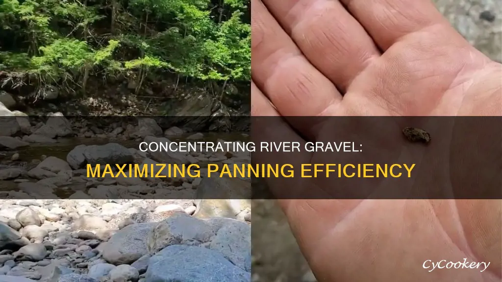 how to concentrate river gravel before panning