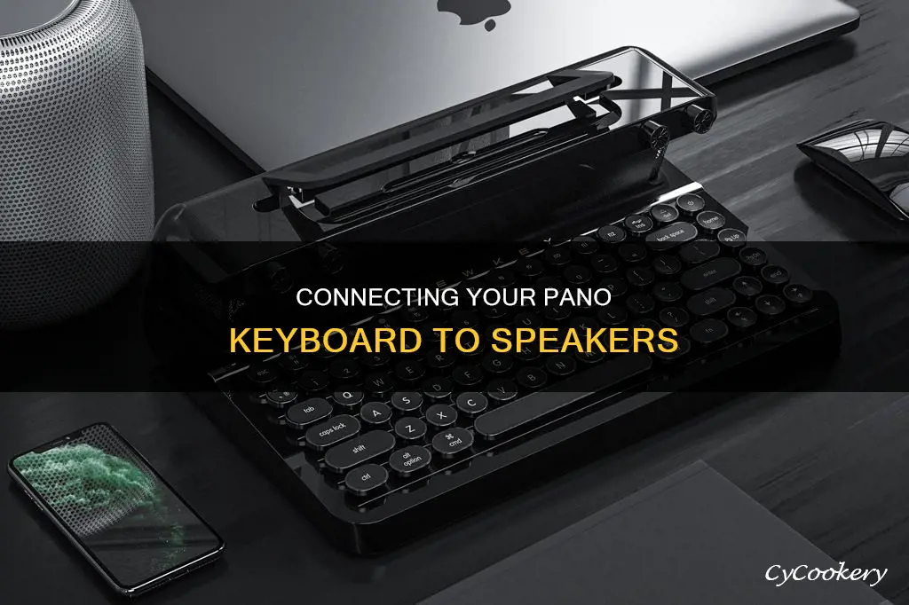 how to connect pano keyboard to speakers