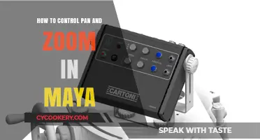 Mastering Maya: Pan & Zoom Control