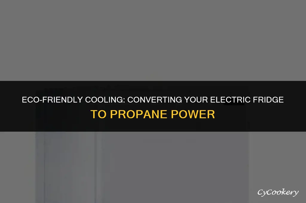 how to convert an electric refrigerator to propane