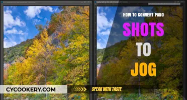 Converting Pano Shots to Jogs: A Step-by-Step Guide