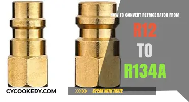 Eco-Friendly Upgrade: Converting Your Fridge from R12 to R134a