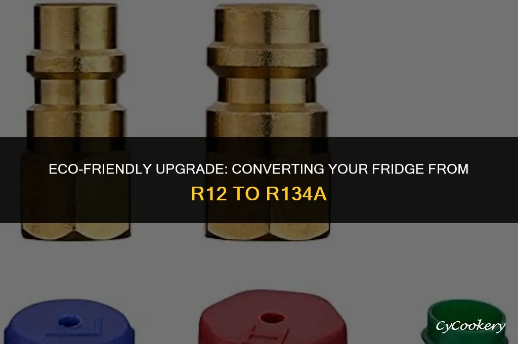 how to convert refrigerator from r12 to r134a