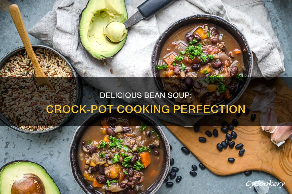 how to cook 10 bean soup in crock pot