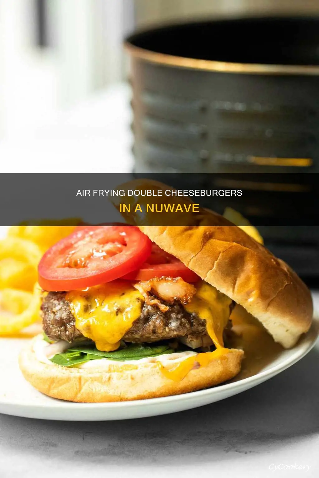 how to cook 2 hamburgers in my nuwave air fryer