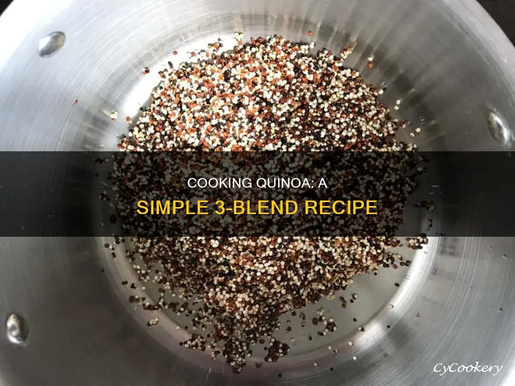 how to cook 3 blend quinoa