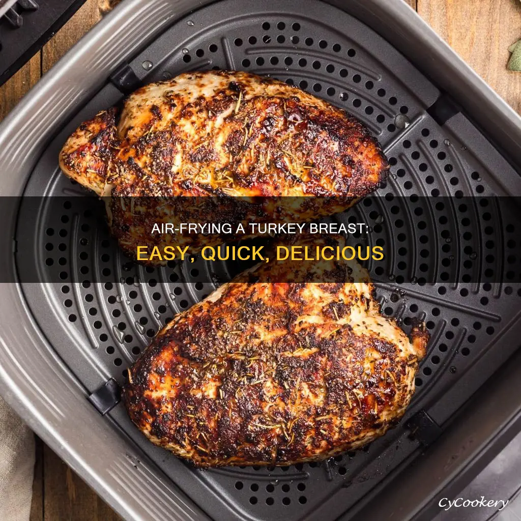 how to cook 3 lb turkey breast in air fryer