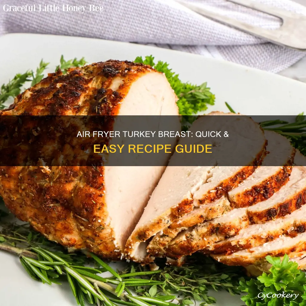 how to cook a boneless turkey breast in air fryer