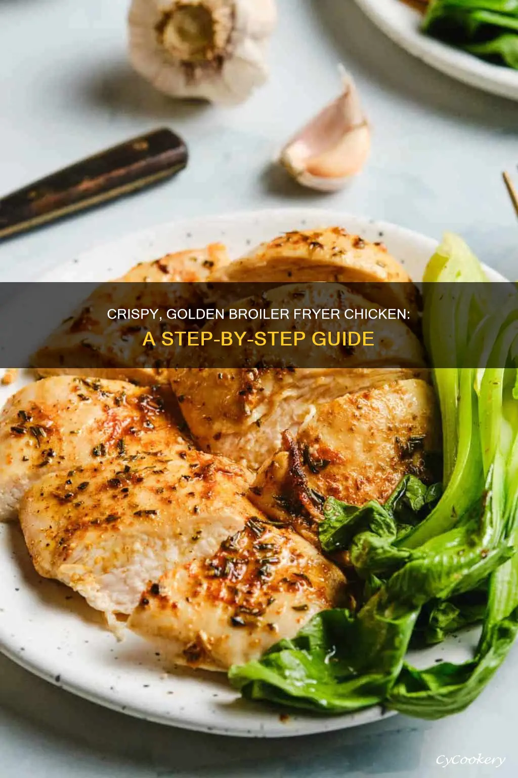 how to cook a broiler fryer chicken