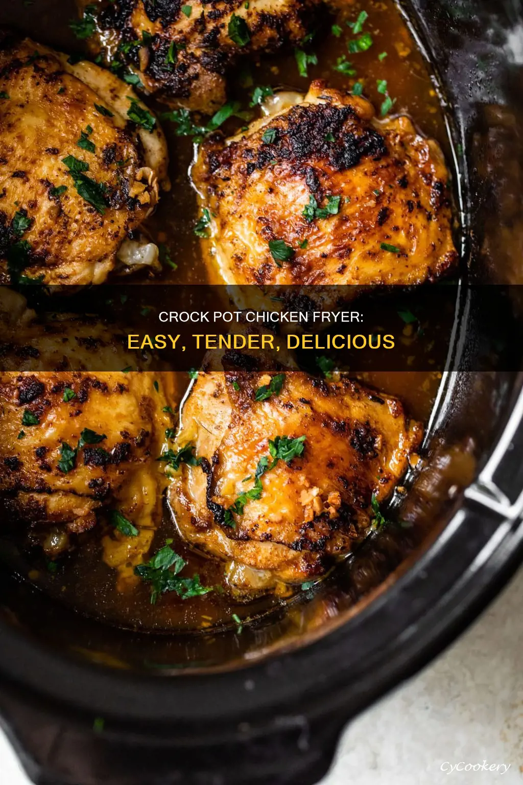 how to cook a chicken fryer in the crock pot