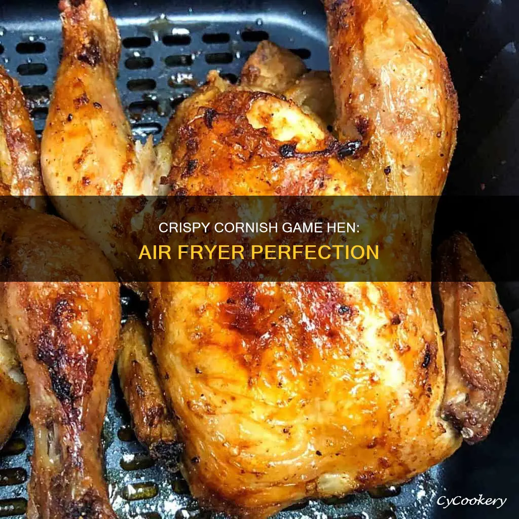 how to cook a cornish game hen in air fryer