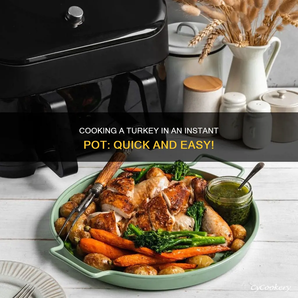 how to cook a fryer in a instant pot