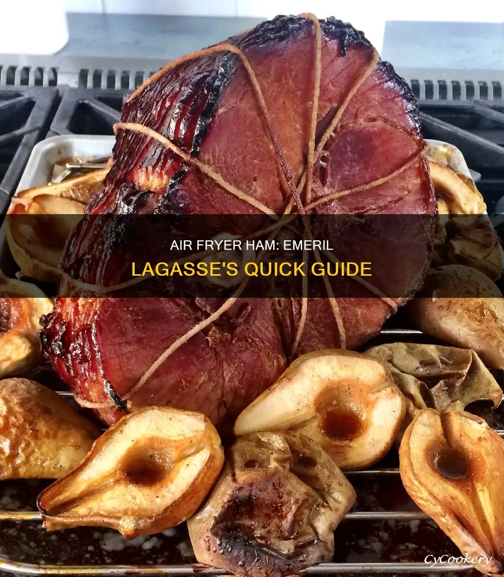 how to cook a ham in emeril lagasse air fryer