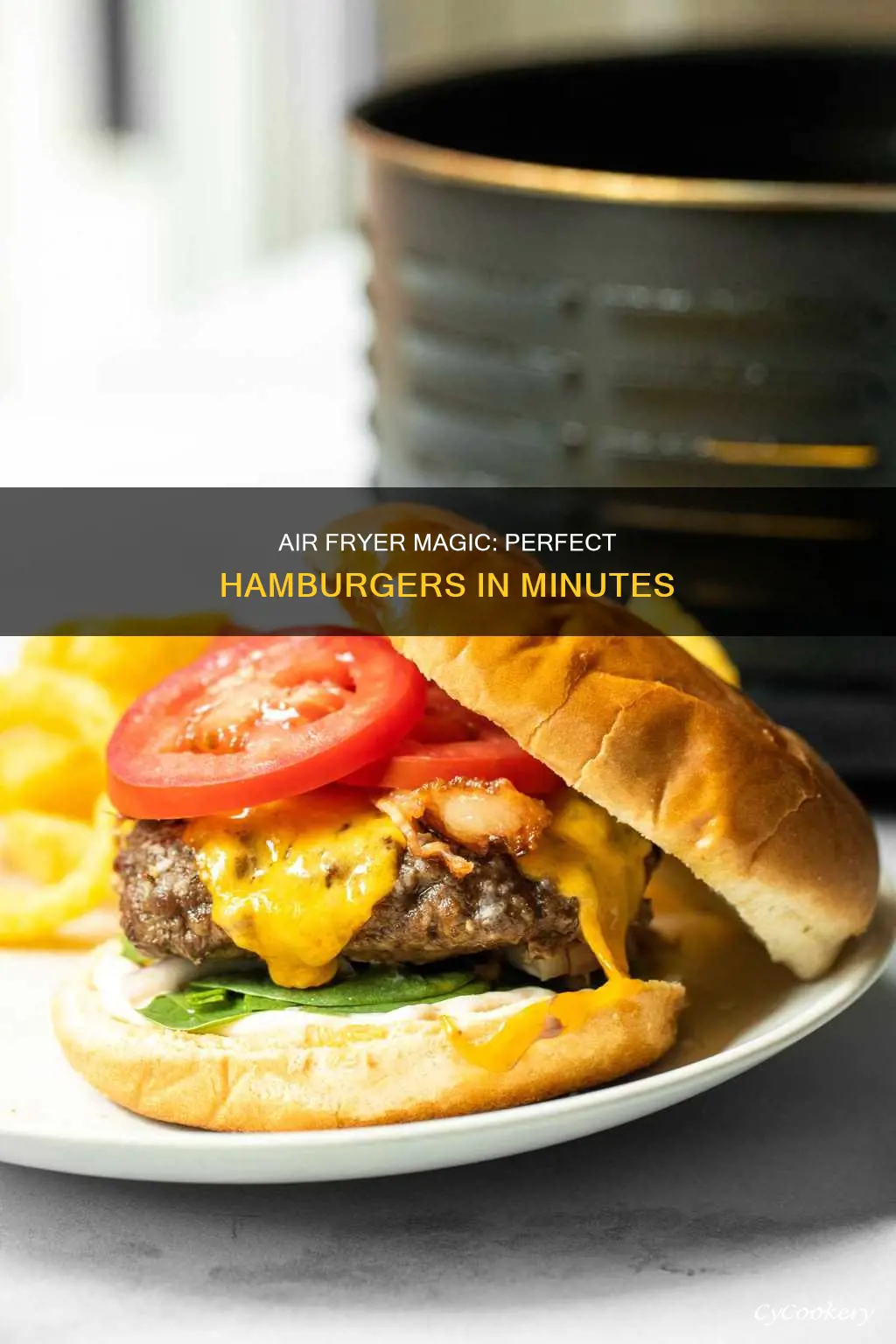 how to cook a hamburger in an air fryer oven