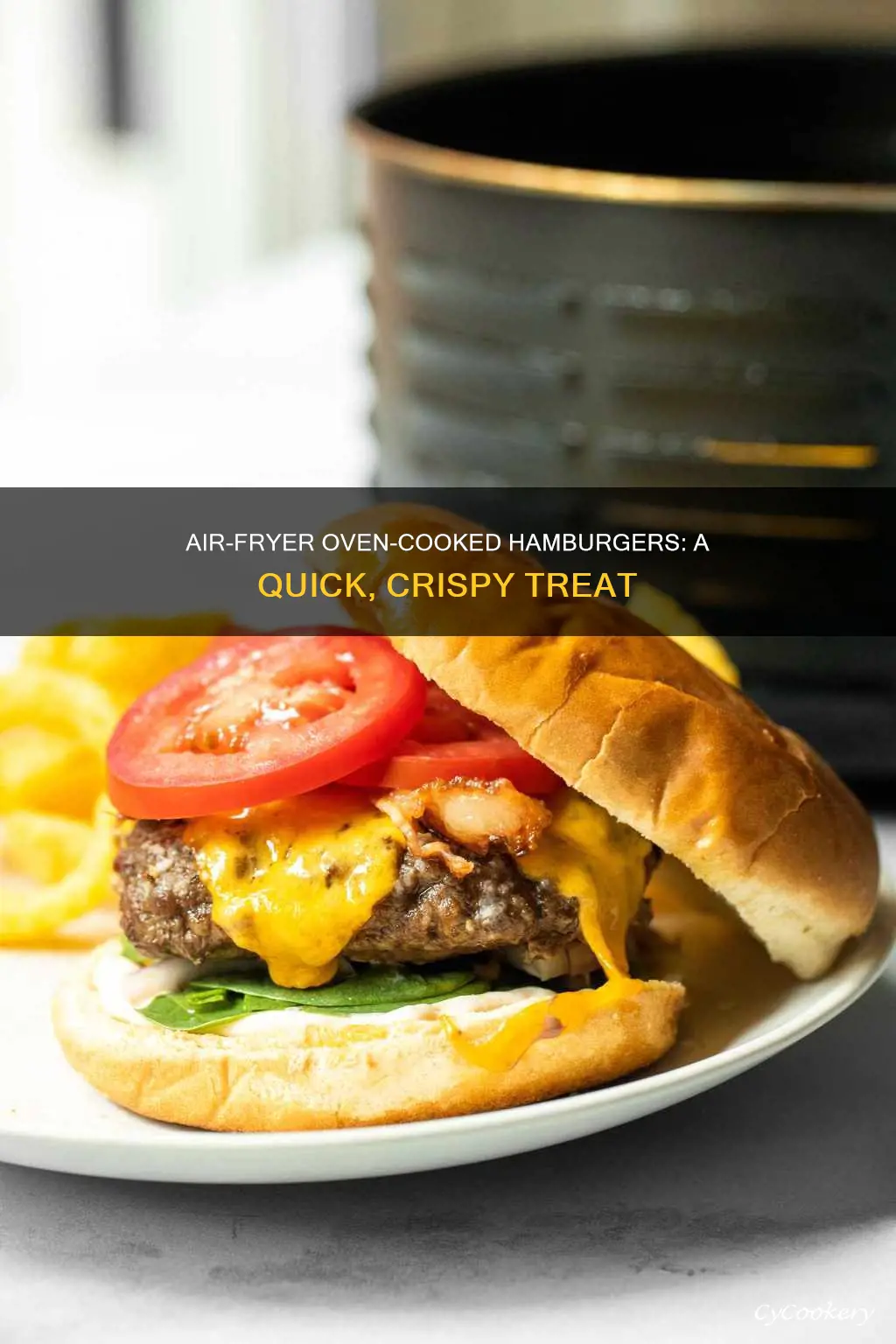 how to cook a hamburger in an air fryer oven