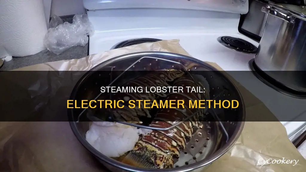 how to cook a libster tail in an electric steamer