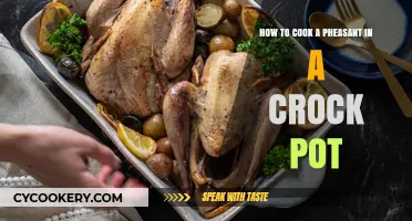 Slow-Cooked Pheasant: Crock Pot Magic