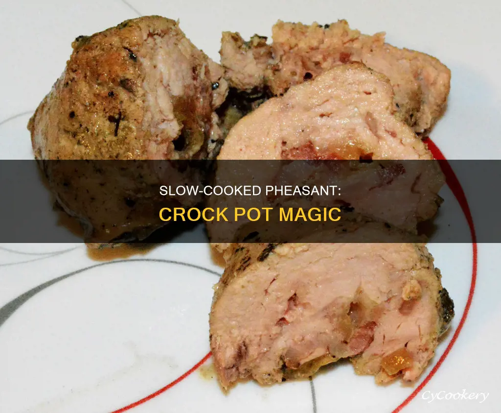 how to cook a pheasant in a crock pot
