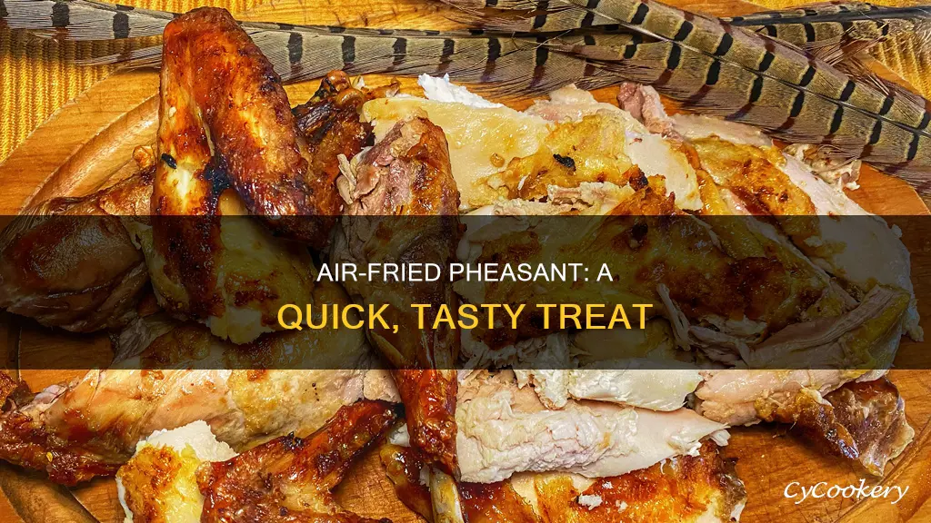 how to cook a pheasant in an air fryer