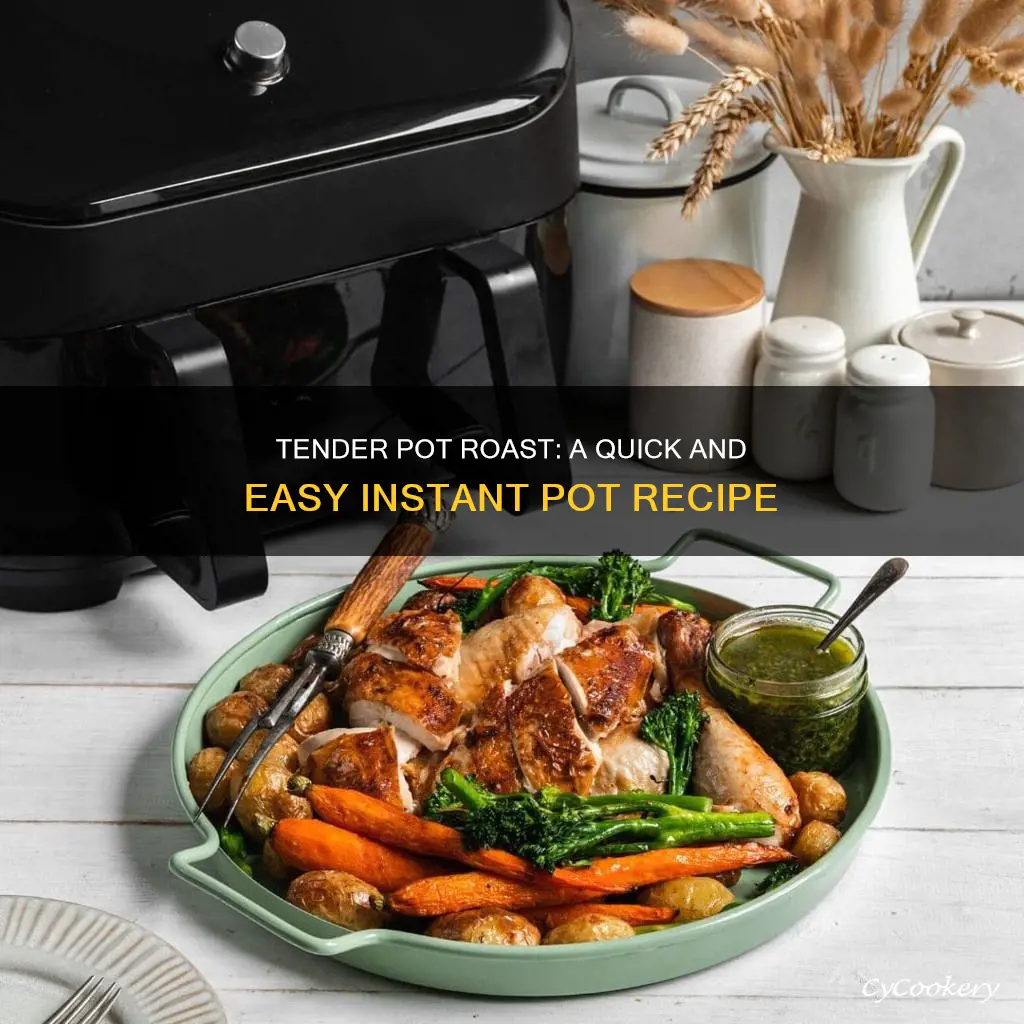 how to cook a pot roast in the instant fryer