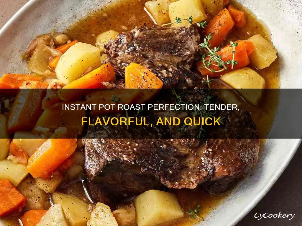 how to cook a pot roast in the instant fryer