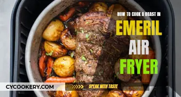 Master the Art of Roasting: Emeril's Air Fryer Guide