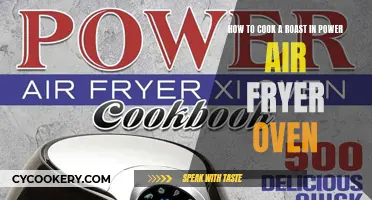 Master the Art of Roasting: Power Air Fryer Oven Guide