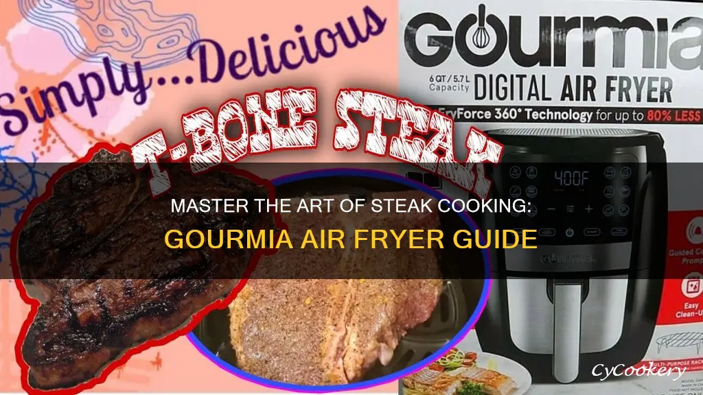 how to cook a steak in a gourmia air fryer